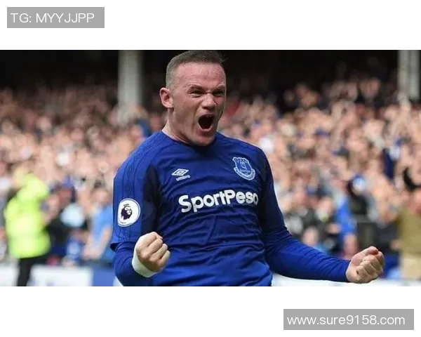 托特纳姆热刺对阵埃弗顿精彩直播全程回顾与赛后分析